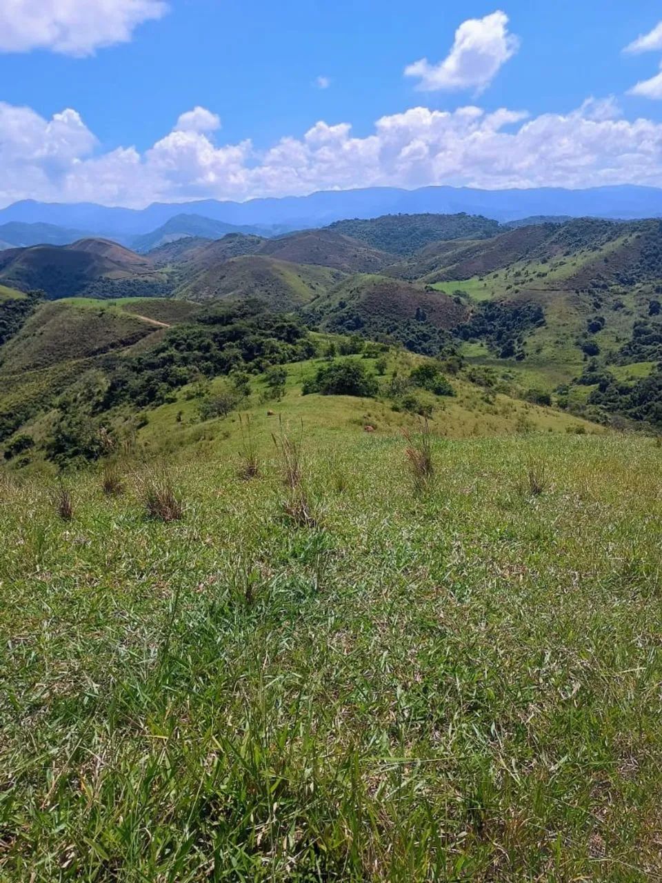 Valença - Fazenda com 93 alqueires  - Foto 3