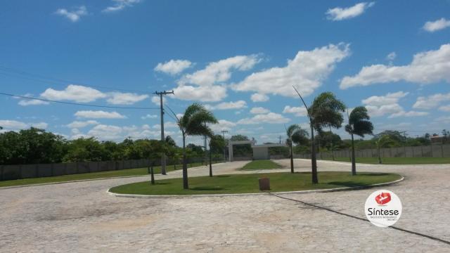 Loteamento Fechado em Canoa Quebrada-Ceará - Foto 3