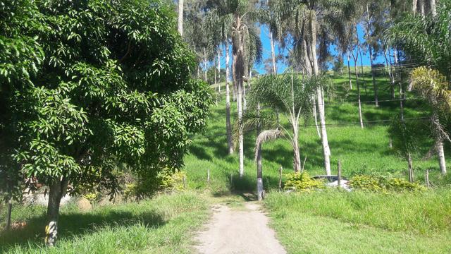 FAZENDINHAS DO BELO VALE - Granja Plana (Kátia Corretora)