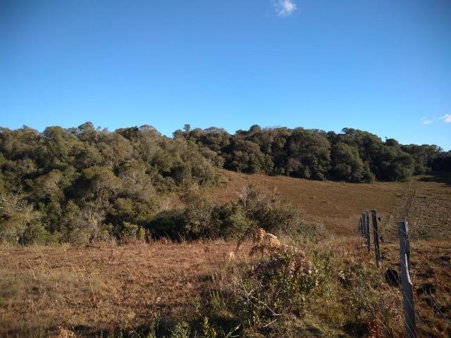 Belíssima área de campo para sitio de lazer com 30000 m² - Foto 3