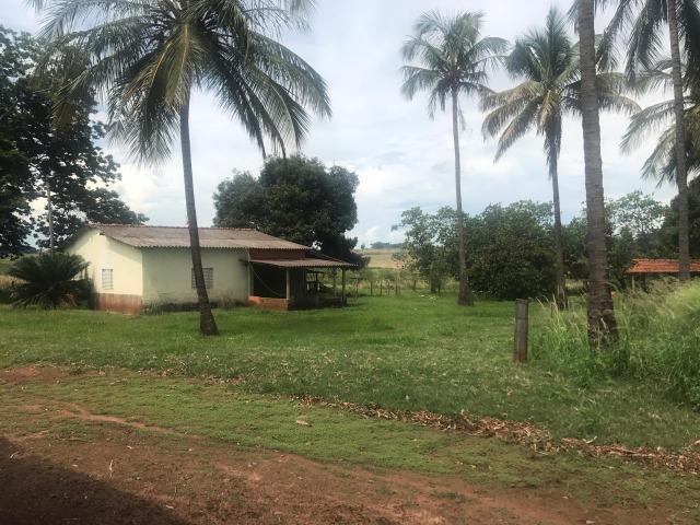 Vende-se Fazenda na Cidade de Dirce Reis-SP - Foto 10