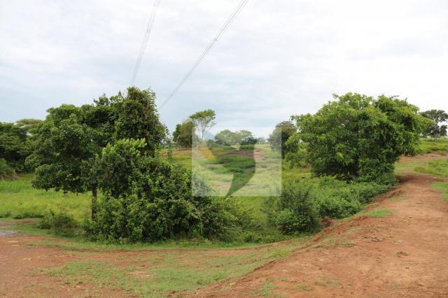 Chácara à venda, 127340 m² por r$ 249.500 - zona rural - rondonópolis/mato grosso - Foto 20