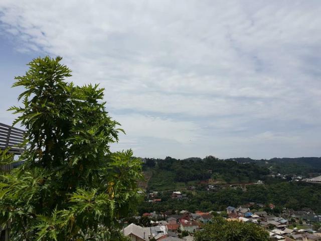 Terreno - bairro floresta - Foto 4