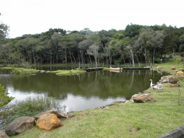 Terreno - Bairro Lagos de Gramado - Foto 6