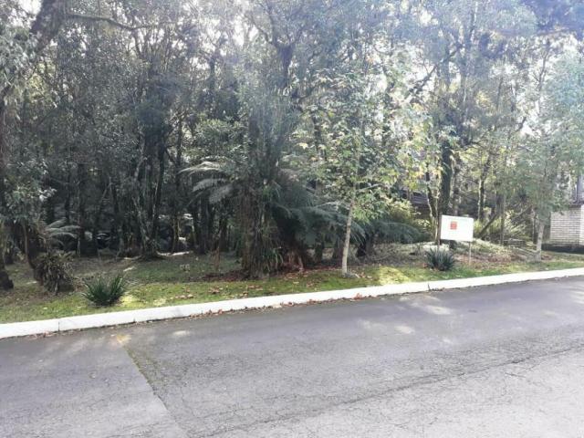 Terreno - Bairro Lagos de Gramado