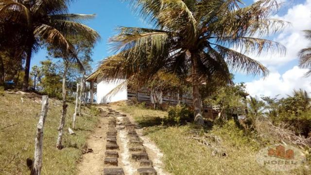 Chácara à venda em Zona rural, Castro alves cod:4570 - Foto 20