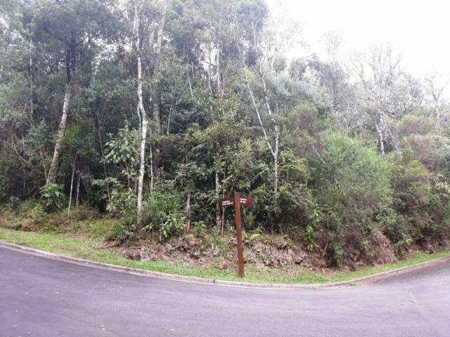 Terreno - Bairro Centro - Foto 2