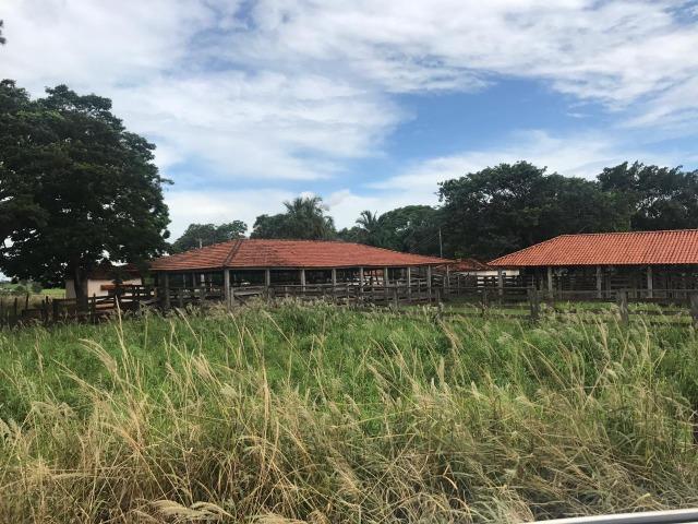Vende-se Fazenda na Cidade de Dirce Reis-SP - Foto 2