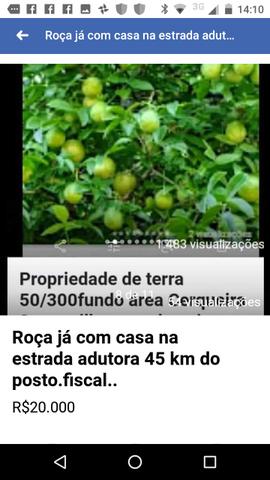 Roça já com casa água encanada luz instalada e energia - Foto 11