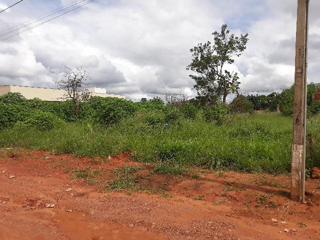 Vendo 2 lotes juntos na qd 2 do estancia quintas da alvorada - Foto 4