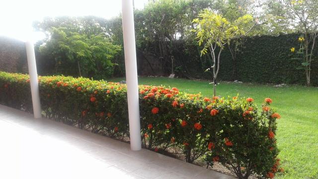 Vendo esta casa em Porto de galinhas - Foto 14