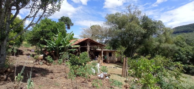 Chácara prontinha com açúde e roças, frutíferas  - Foto 5