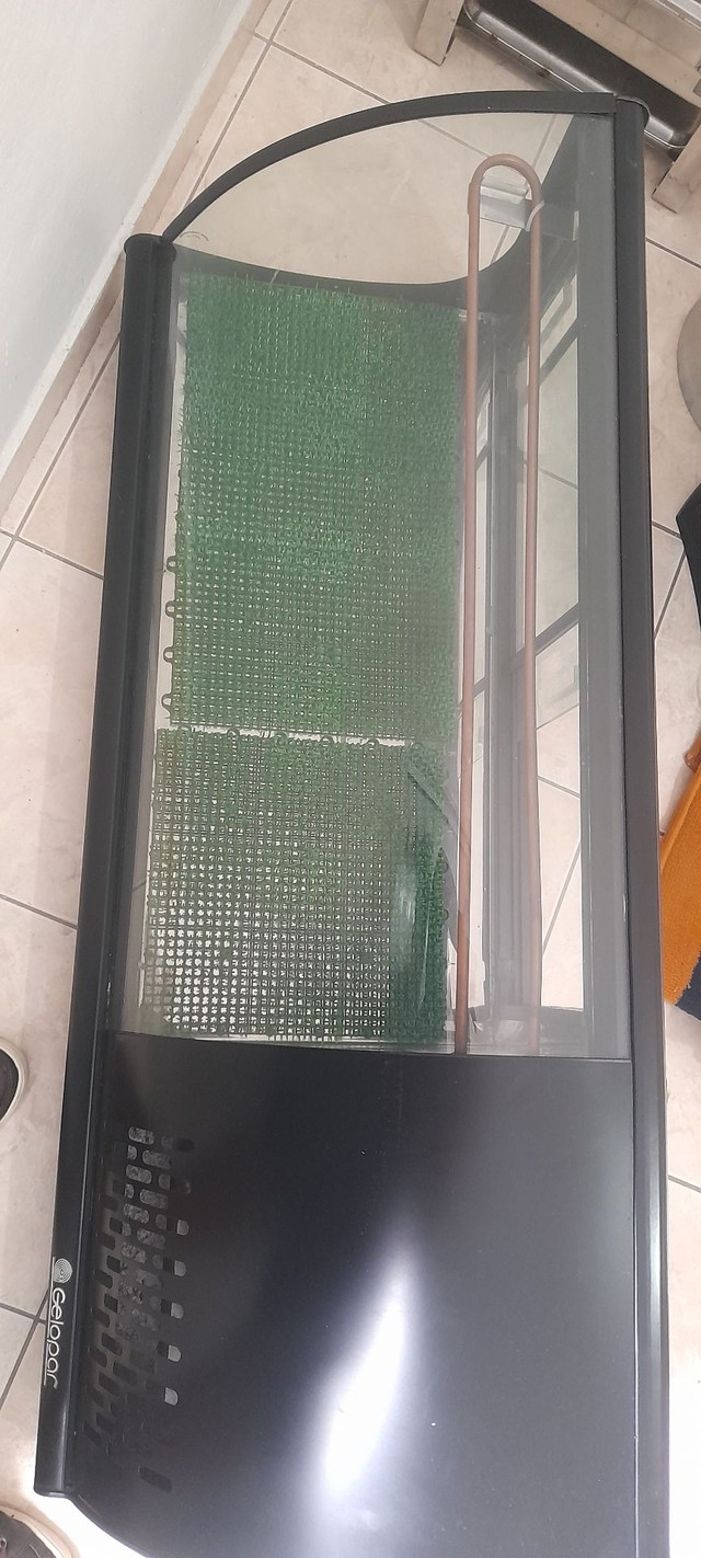 Vitrine  para sushi nova