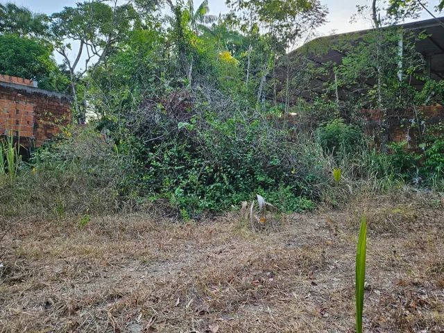 Lote A VENDA ao lado do Garden shopping. - Foto 3