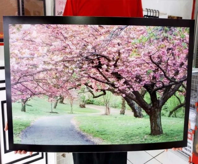 Quadros antimofo tamanhos grandes - Foto 3