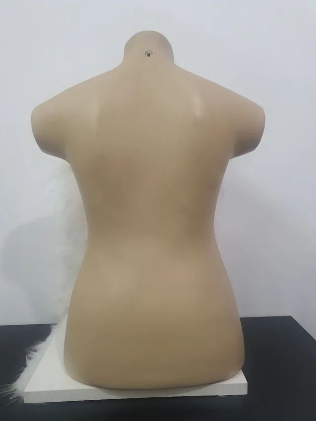 Busto plástico feminino  - Foto 2