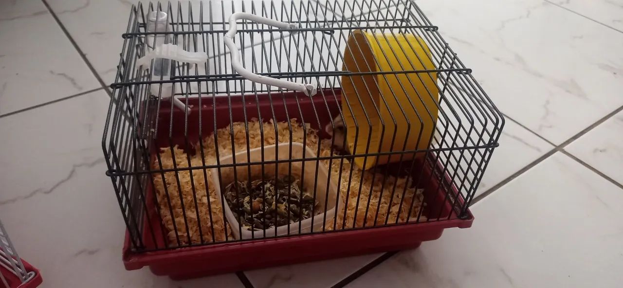 Gaiola para Hamster, com um hamster 