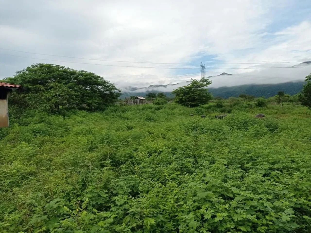 Fazenda Goiás Cavalcante  - Foto 4