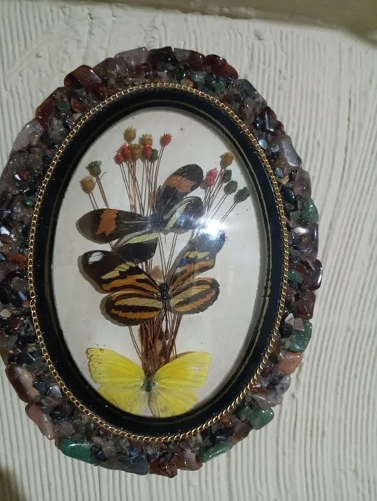 Quadro decorativo borboleta 