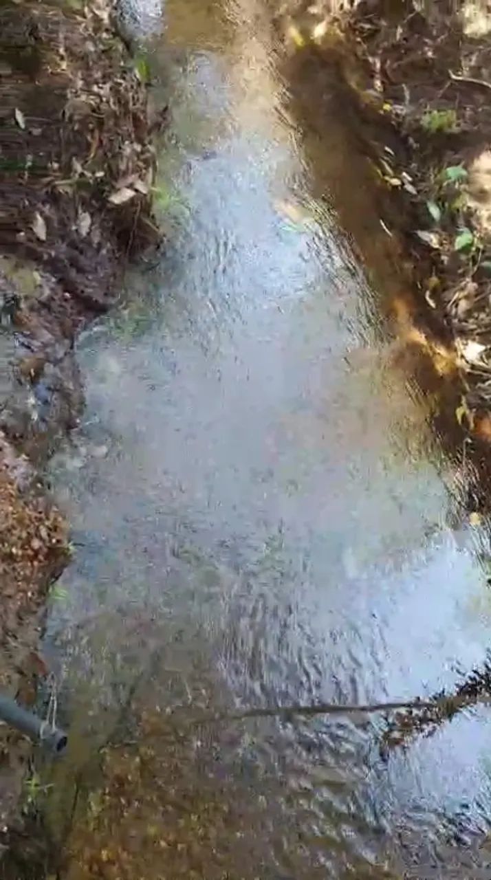 CHACARA 2 ALQUEIRES (96,8 MIL M²)UMA MORADA CORREGO E MINA D"AGUA  PERENE TODO ANO - Foto 12