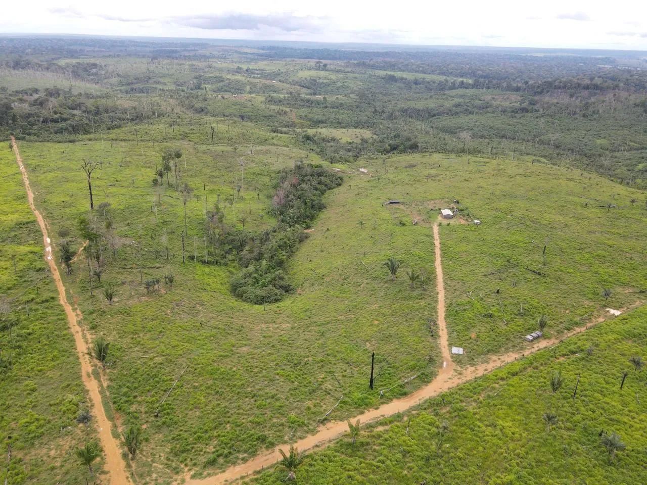 320 alqueires com 200 alqueires abertos em pasto no Apui Amazonas - Foto 3