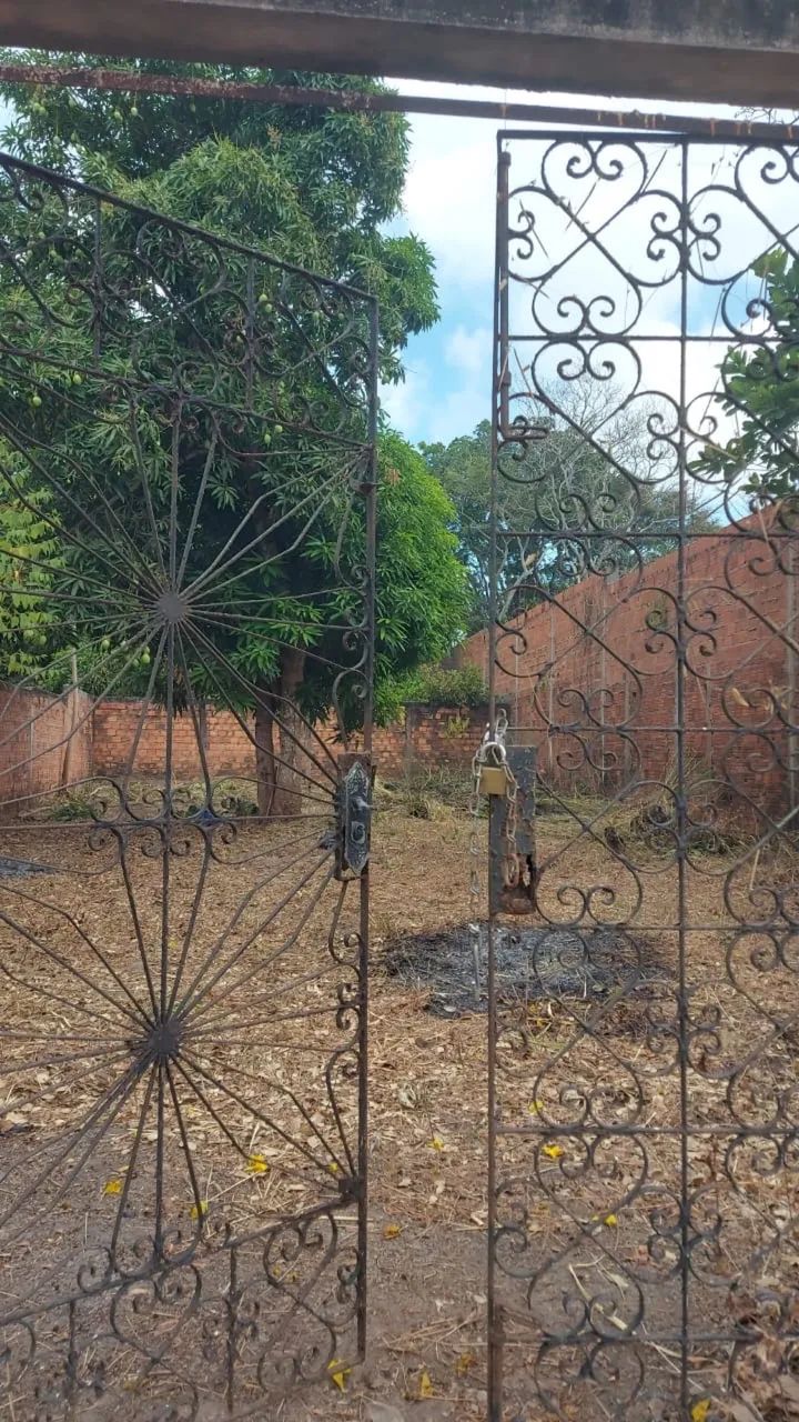 ~Terreno - Foto 4