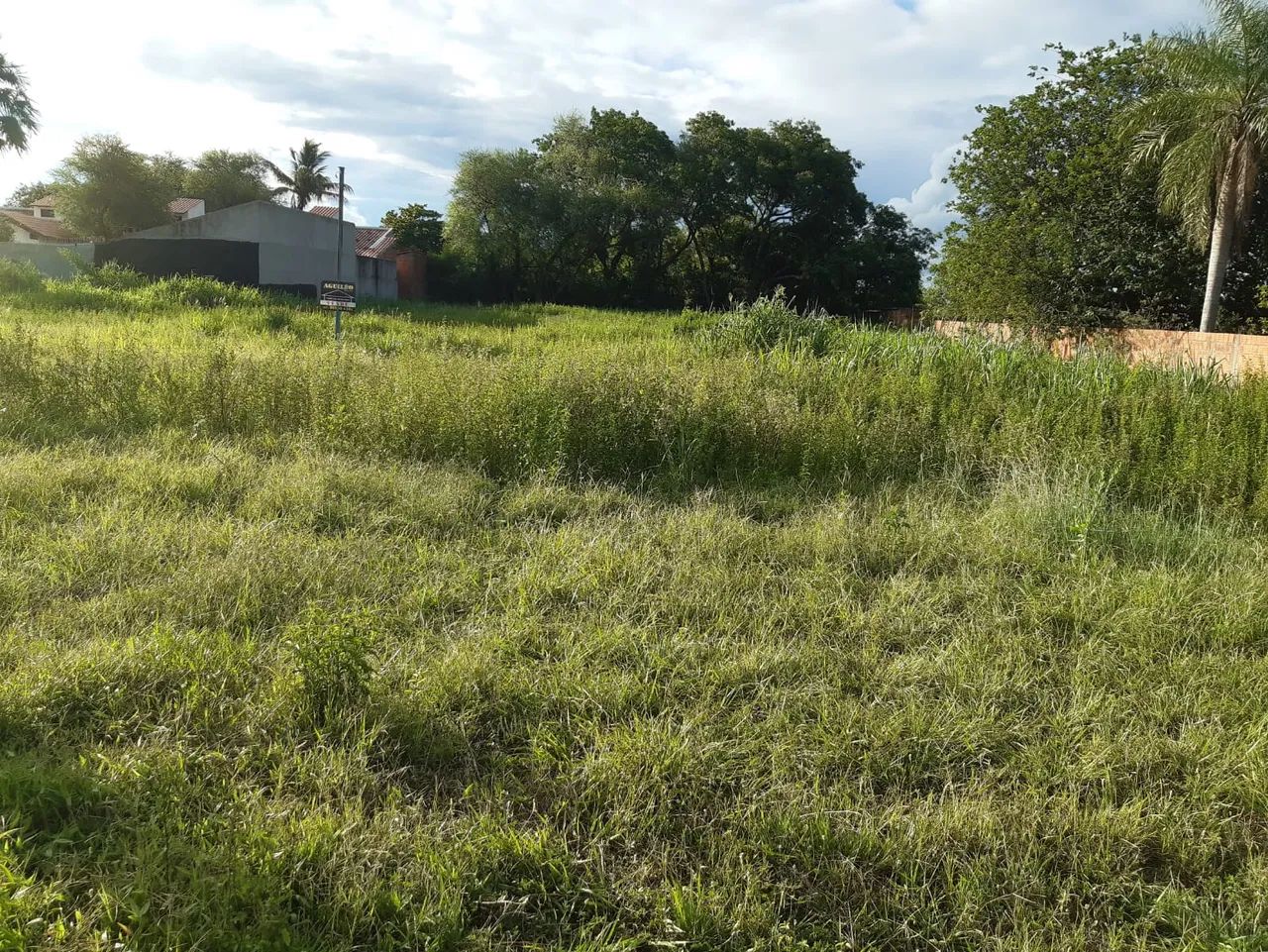 TERRENO EM PORTO MURTINHO- MS - Foto 4