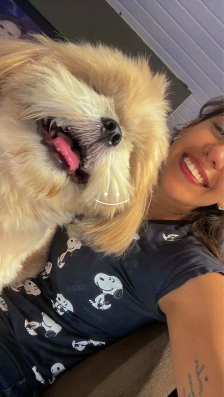 Pet sitter (babá de pet)  - Foto 2