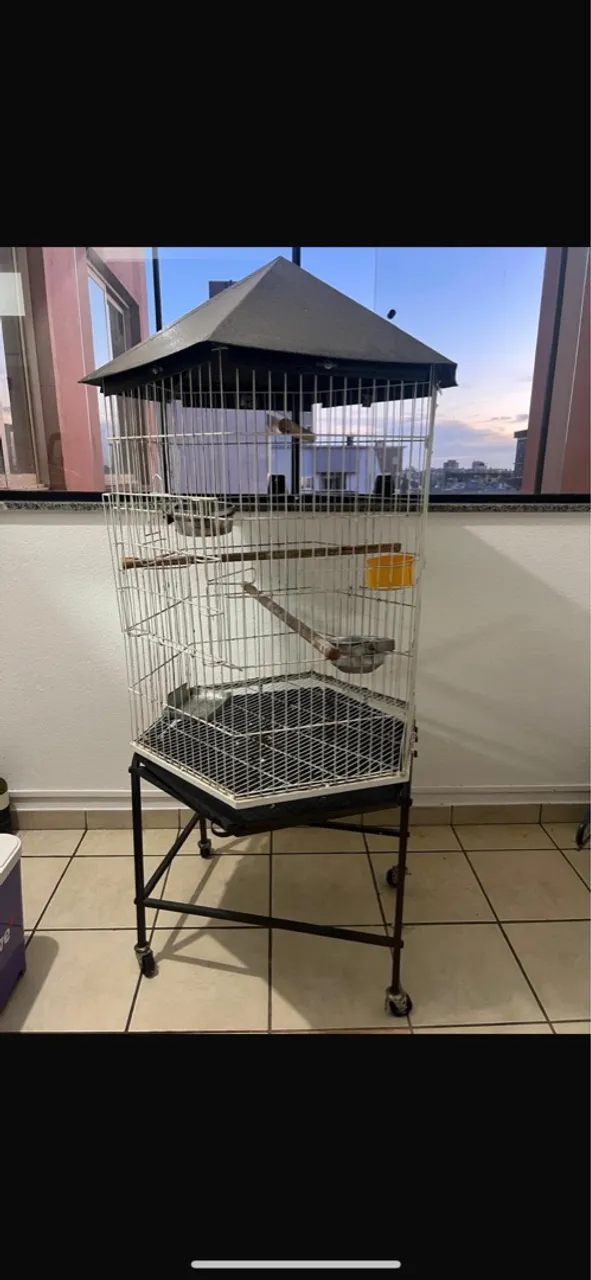 Gaiola para pássaros com design elegante e funcional