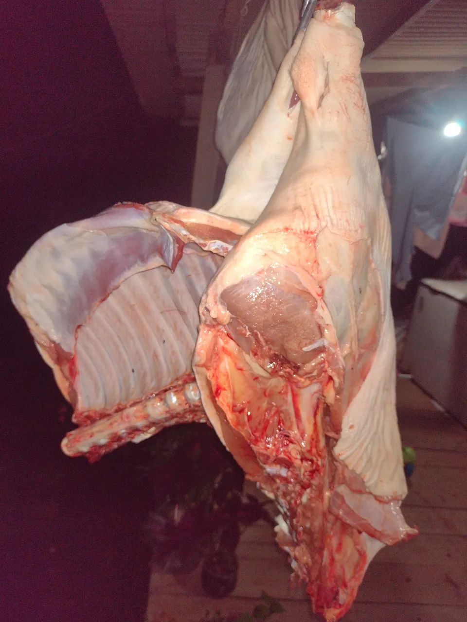 Porco caipira  - Foto 4