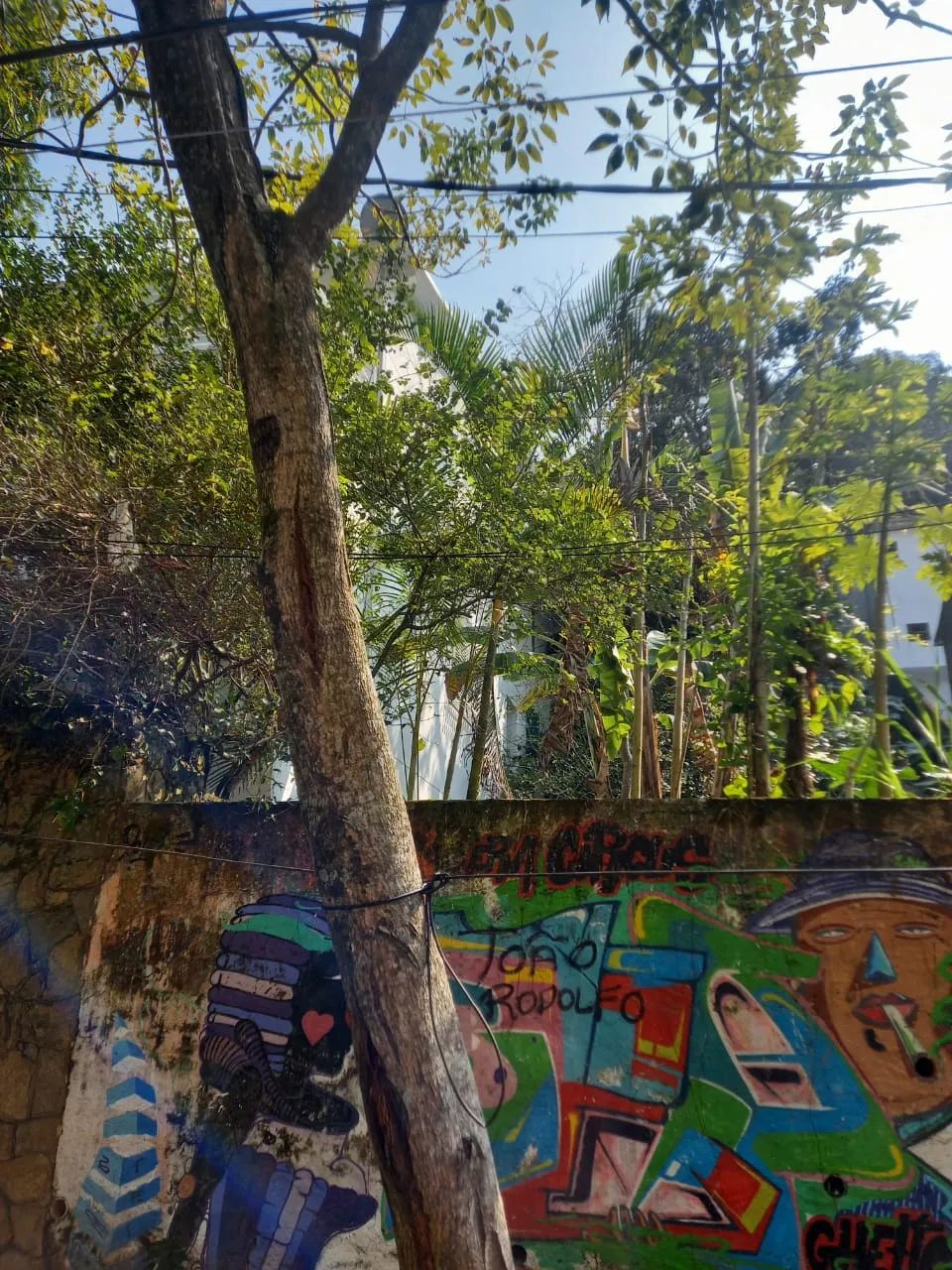 Venda de um dos últimos terrenos disponíveis na Gávea, bairro nobre da Zona Sul carioca. 3 - Foto 4