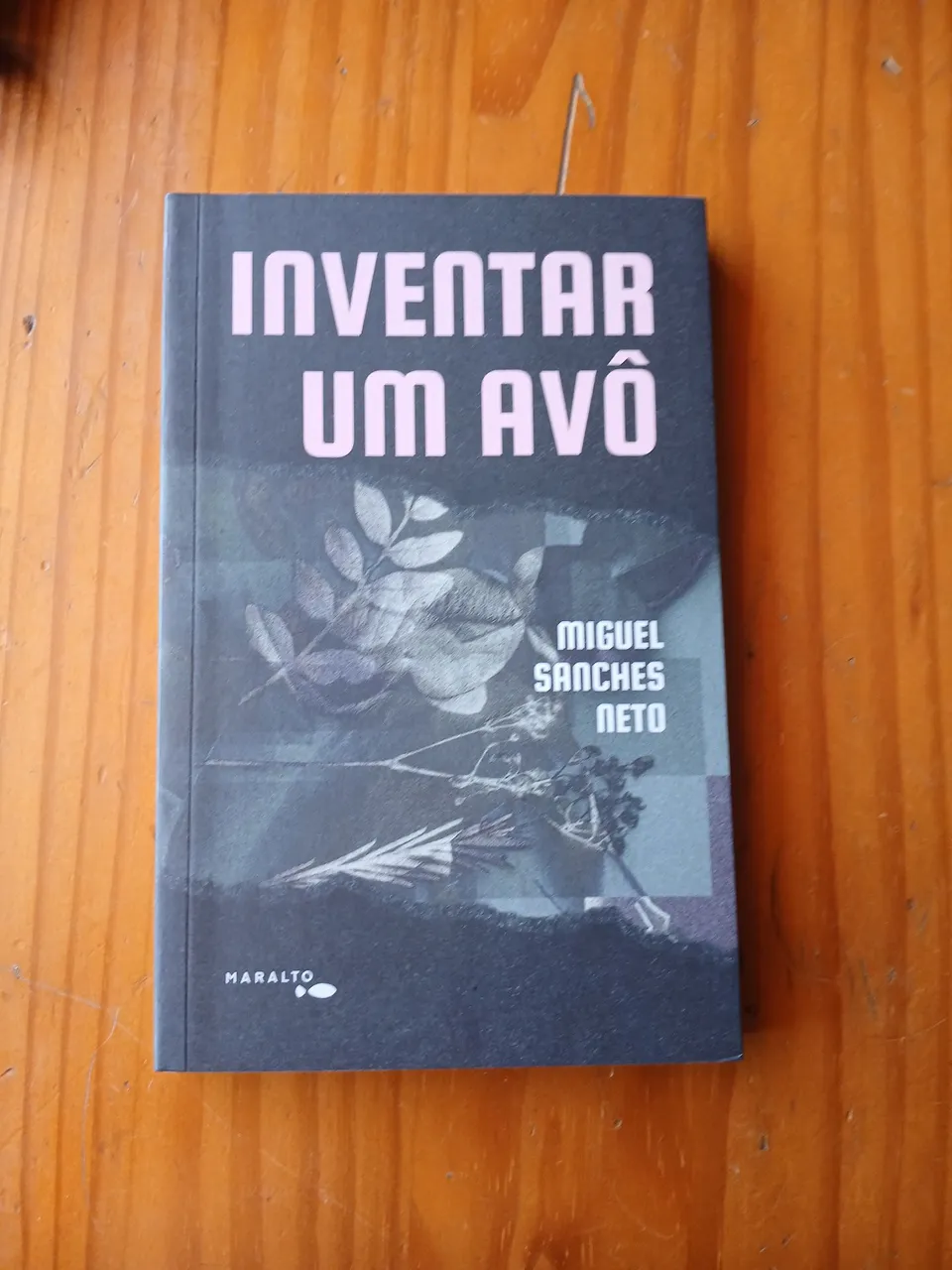 Inventar Um Avô - Miguel Sanches Neto