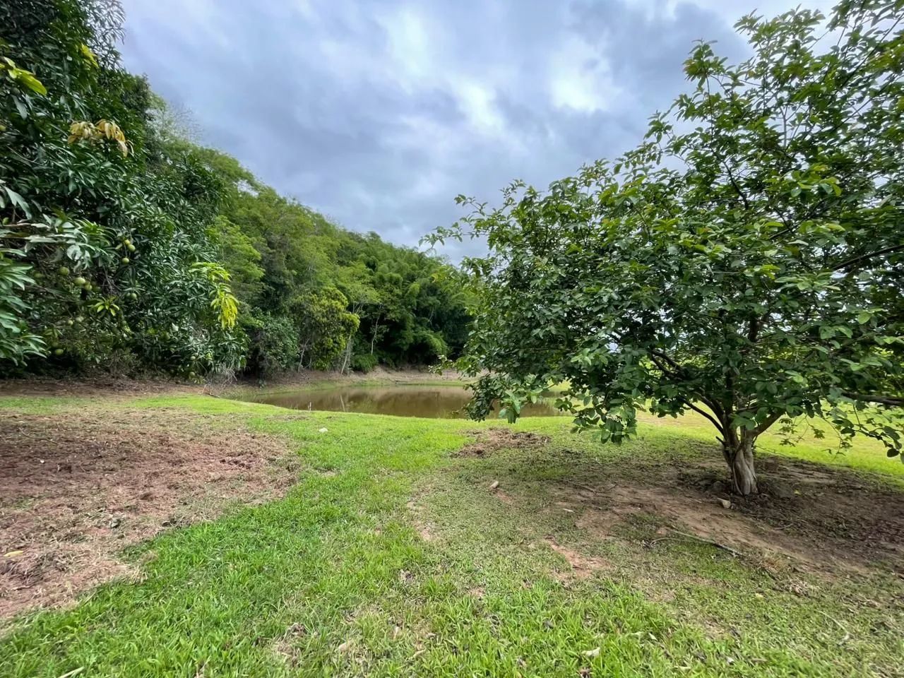 Pecuária  - Foto 12