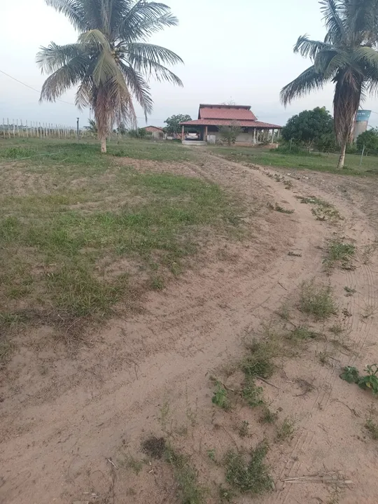 Sítio localizado sítio caruçu no município de Sobrado -PB