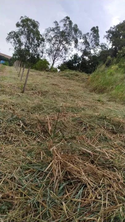 Chácara 8.000m2 Estrada São Domingos - Foto 5