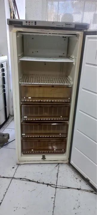 Frezzer 110v  - Foto 6