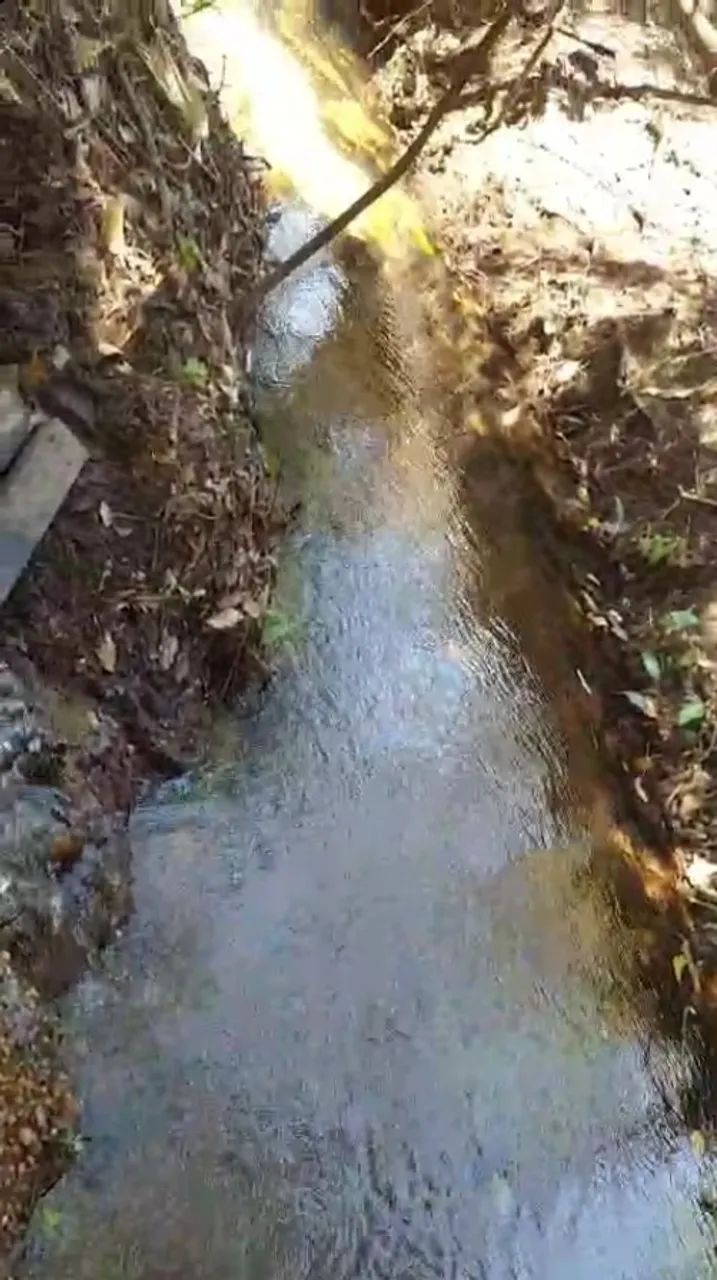 CHACARA 2 ALQUEIRES (96,8 MIL M²)UMA MORADA CORREGO E MINA D"AGUA  PERENE TODO ANO - Foto 11