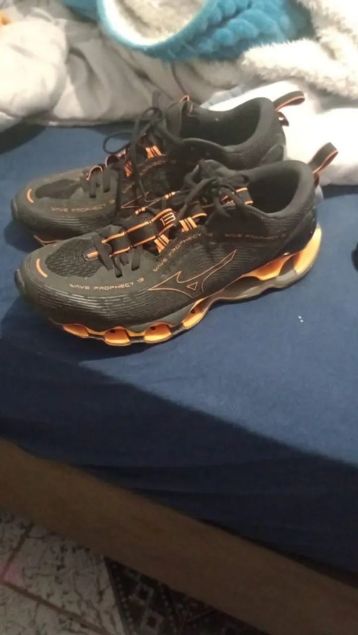 Tênis Mizuno Wave Prophecy 13