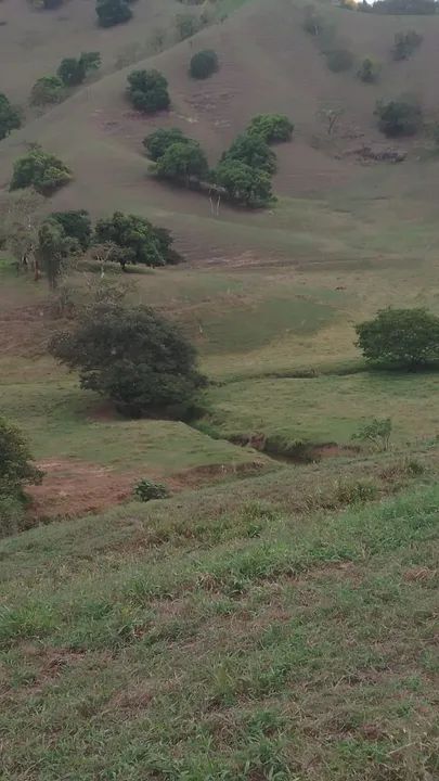 Fazenda com 130 hectares  - Foto 2