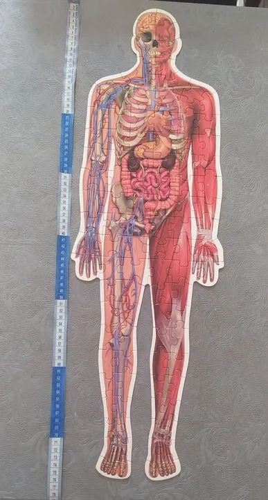 Grow Quebra Cabeça GIGANTE do Corpo Humano com 100 Peças. Grow * - Foto 2