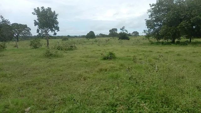 FAZENDA DUPLA APTIDÃO,  NA REGIÃO DE COUTO MAGALHÃES, NO VALE DO ARAGUAI-TO 22.200 ,000 - Foto 5