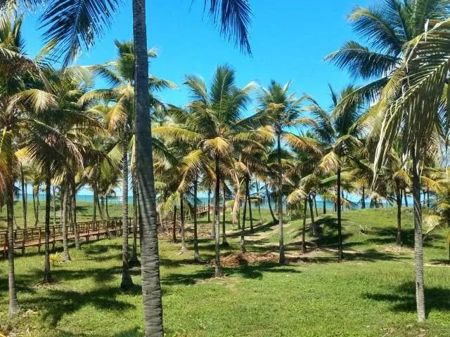 Terreno disponível para venda na Rodovia Engenheiro Edilson Távora, Barra dos Coqueiros - Foto 2