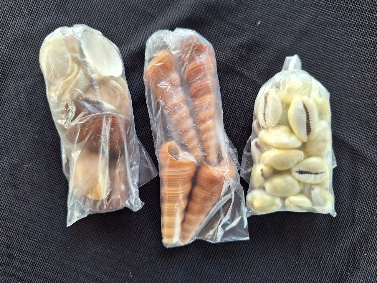 Kit de Contas, Pérolas e Conchinhas  para Artesanato e Bijuterias  - Foto 2