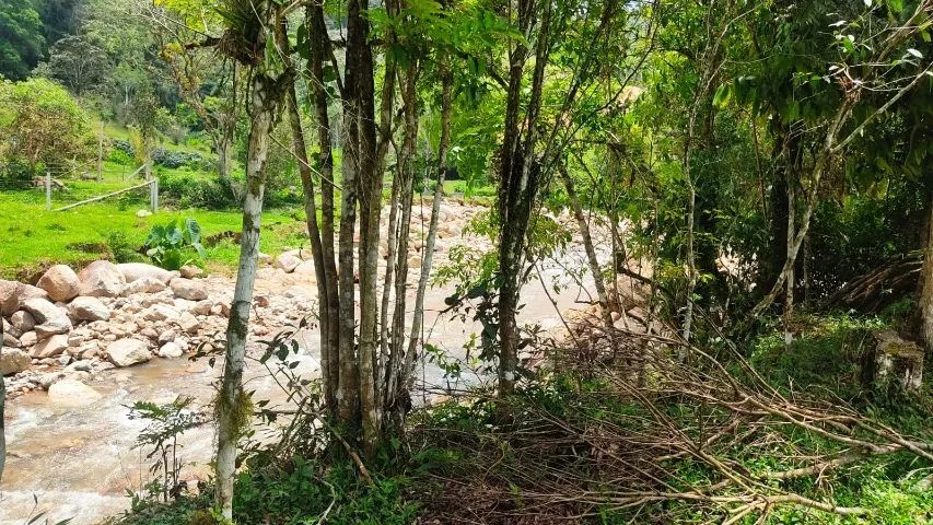 Lindo terreno de 3.000m² estrema com ribeirão de águas cristalinas!