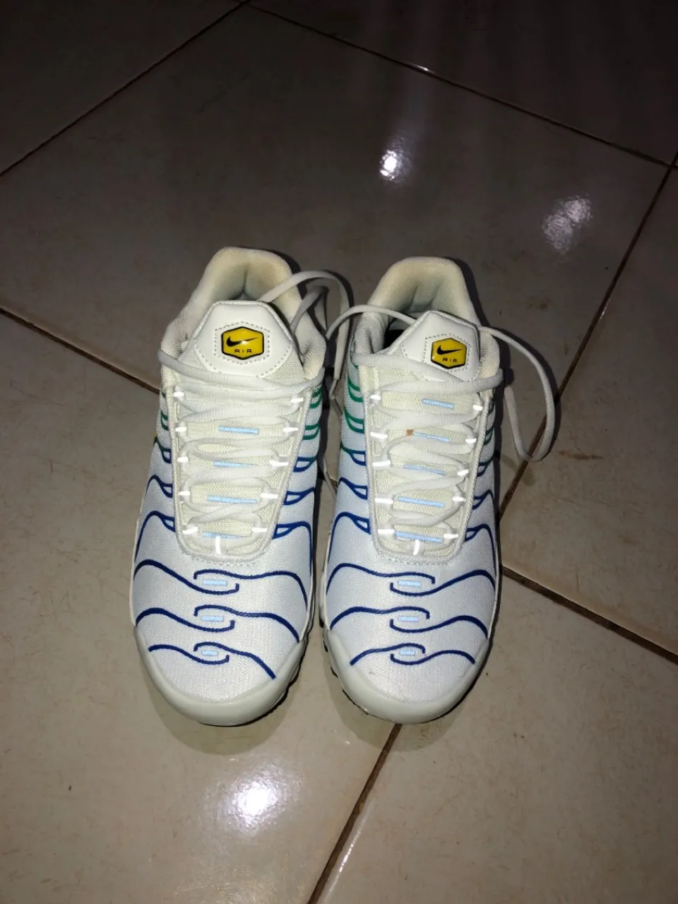 Nike TN Air Max Plus - Branco e Azul