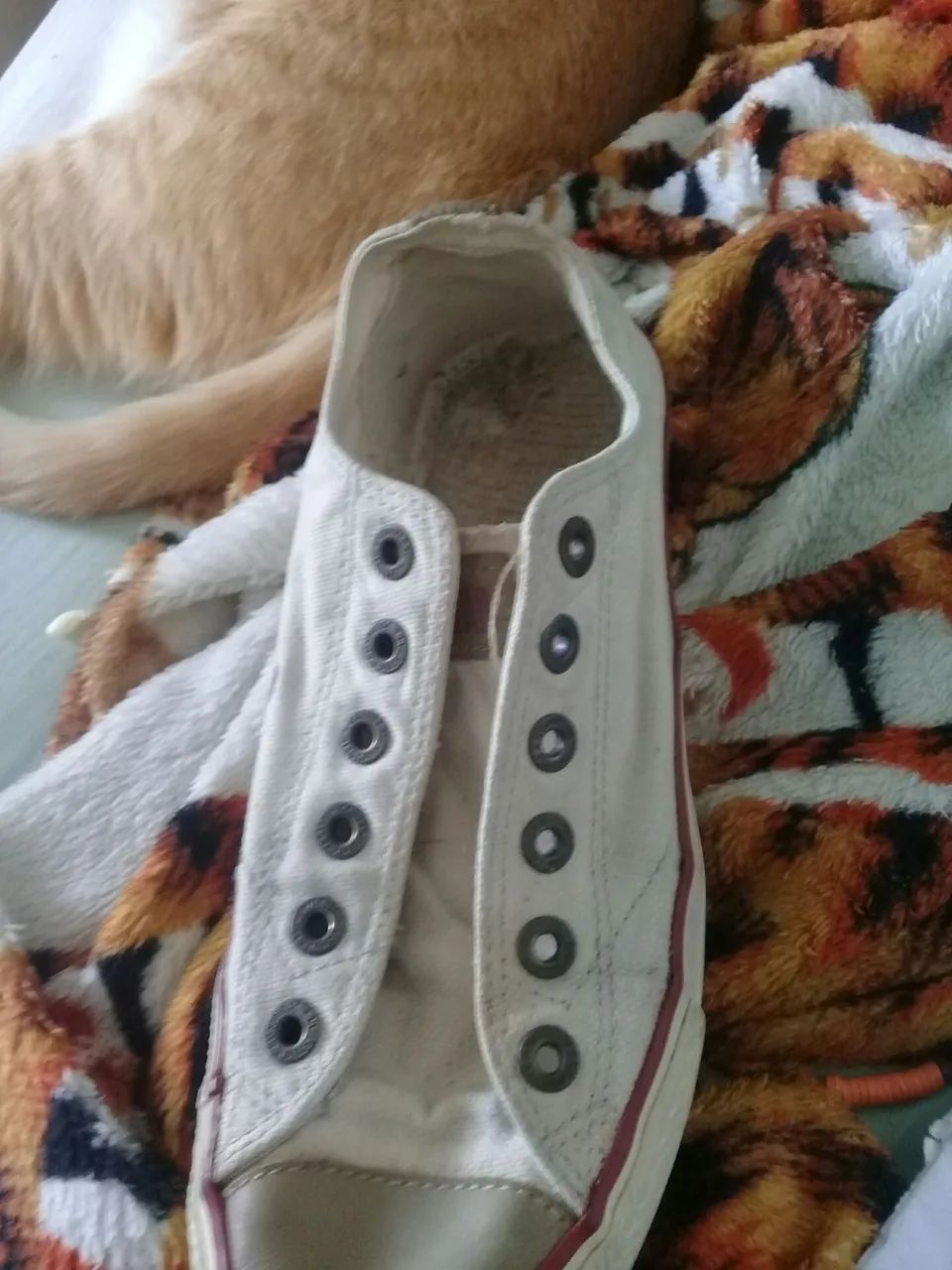 Tênis Converse Branco
