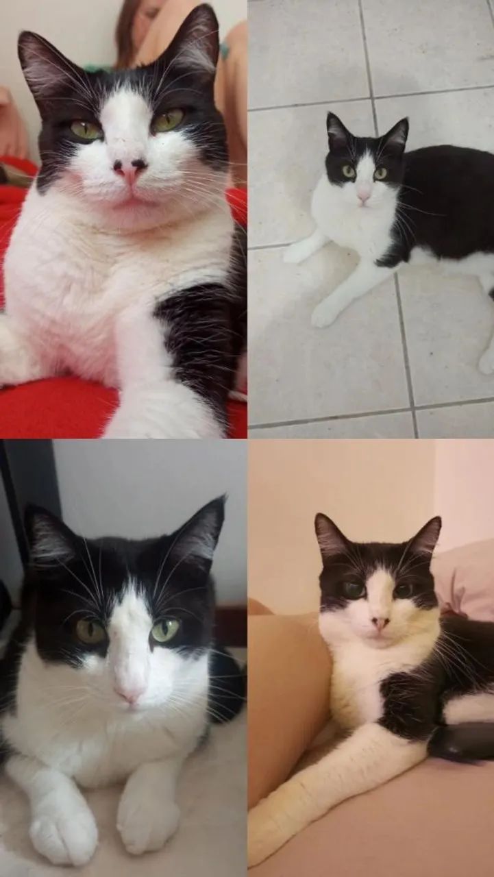 Doação conjunta e responsável  - Foto 2