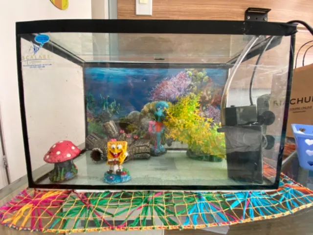 Vendo aquário 18 litros, completo.