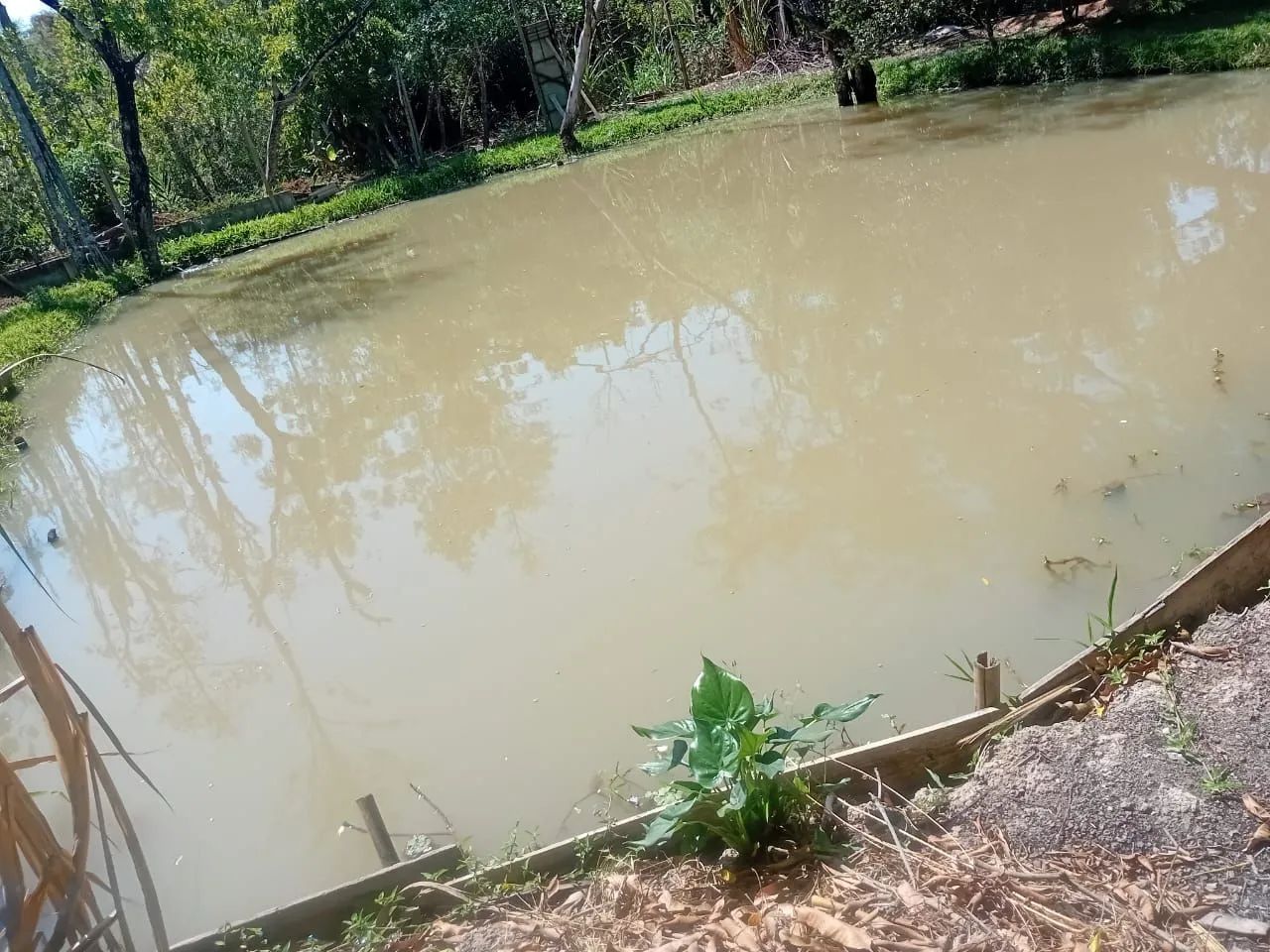 Chacara em corrego das pedras