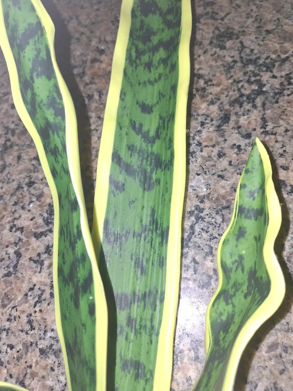 Planta Artificial Espada de São Jorge - Foto 2